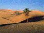 DesertMountain